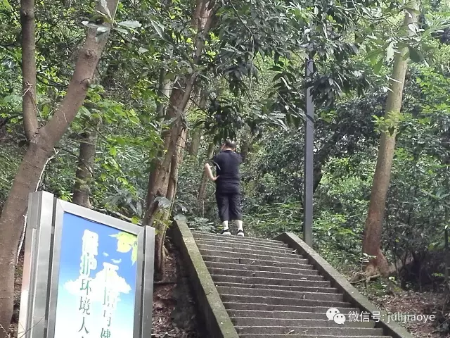 各就各位場景開始